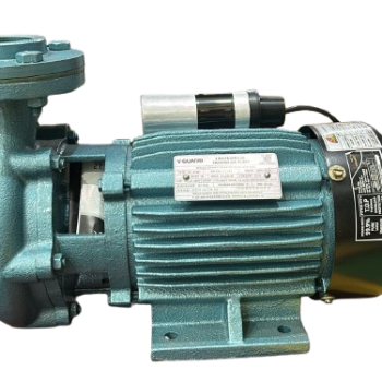 Vguard Monoblock  VC- FH45 1.5HP(2x2)Pump
