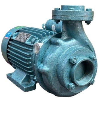 Bindhu Oriant 1.5hp monoblock pump