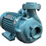 Bindhu Oriant 1.5hp monoblock pump