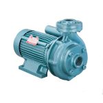 Texmo 0.5hp monoblock pump